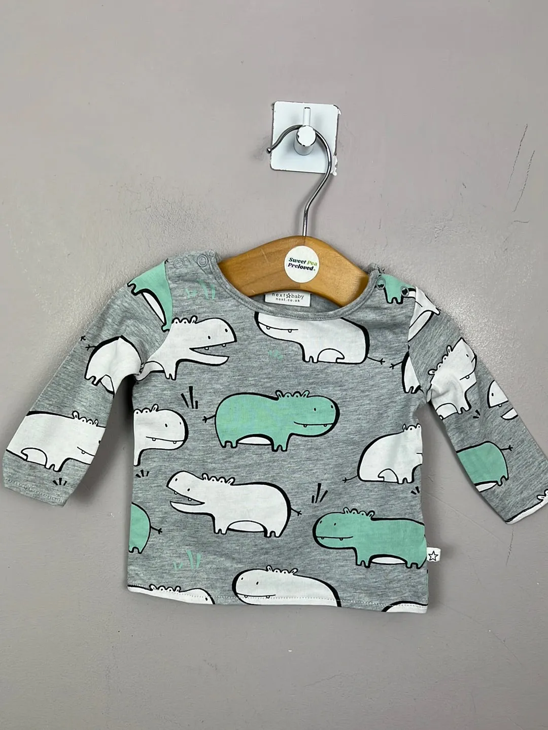 1m Next hippo/stars long sleeve t-shirts
