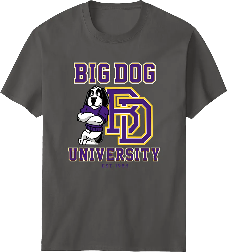 Bd University Purple Gold T-shirt