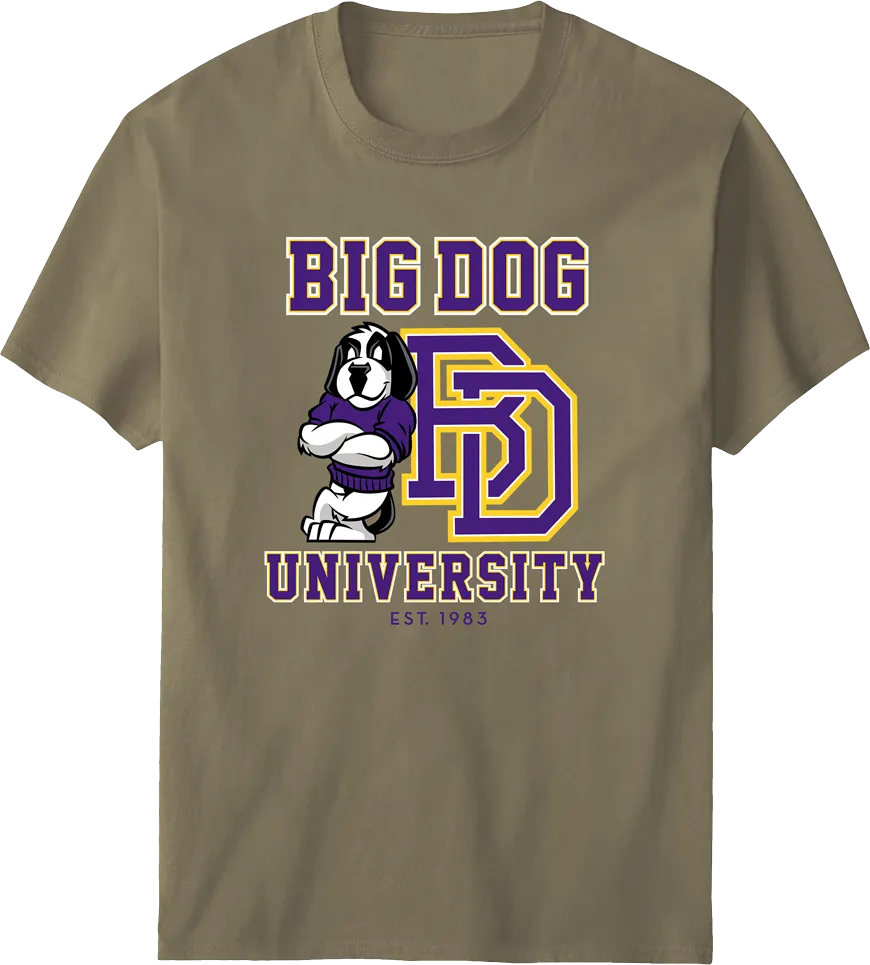 Bd University Purple Gold T-shirt