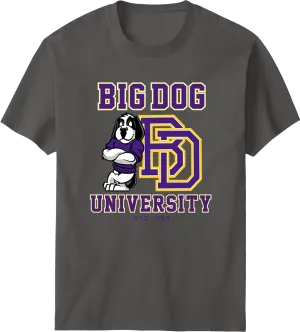 Bd University Purple Gold T-shirt