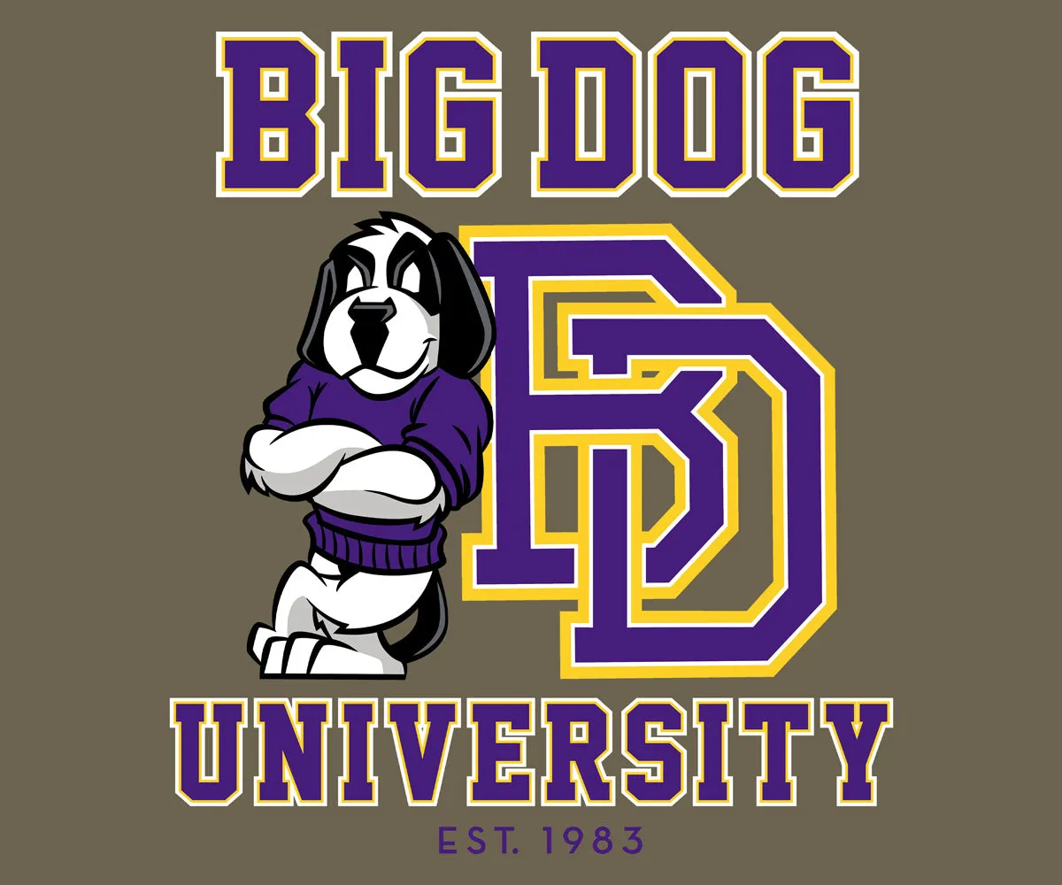 Bd University Purple Gold T-shirt