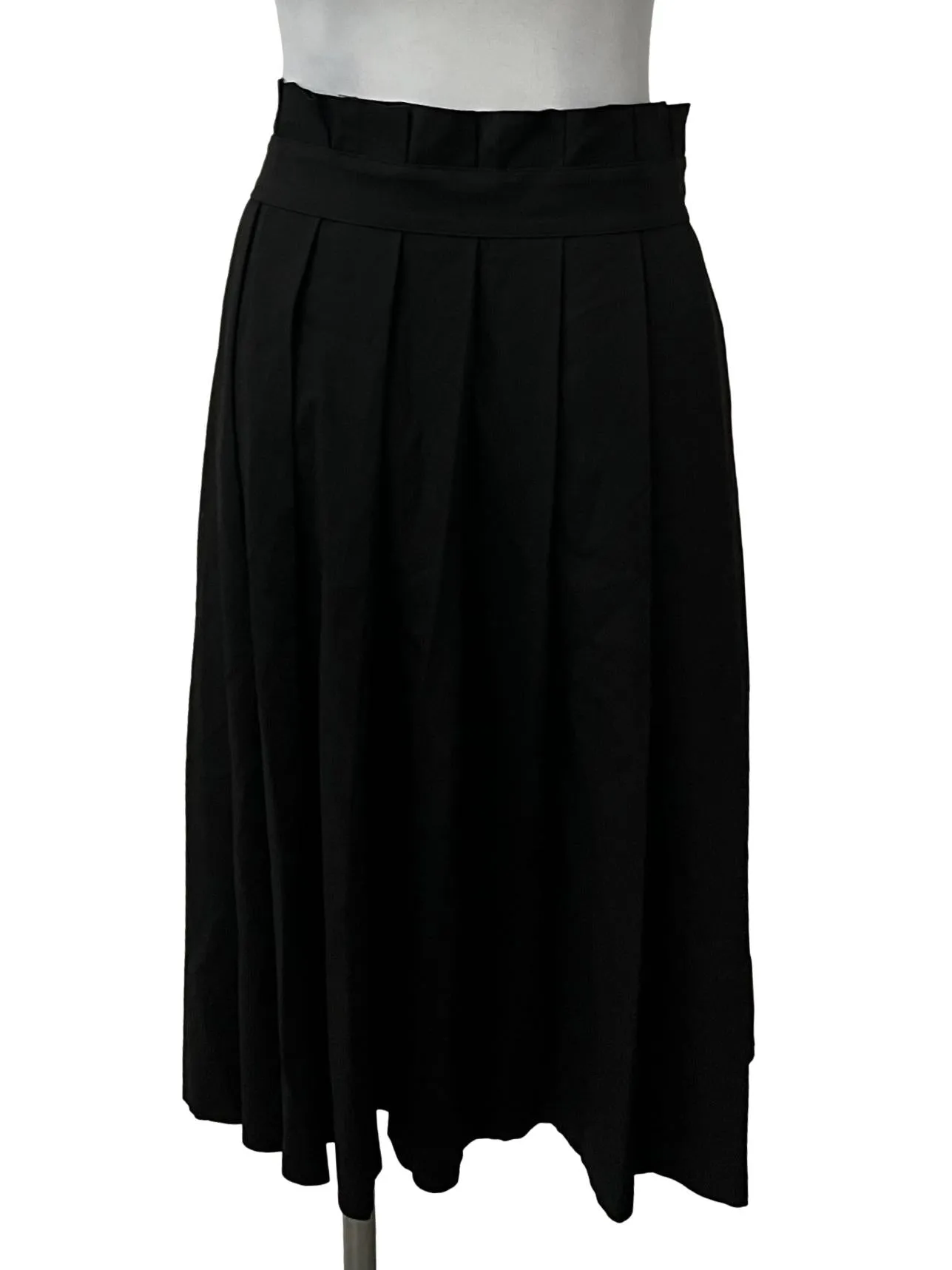 Black Pleated Skirt TEM