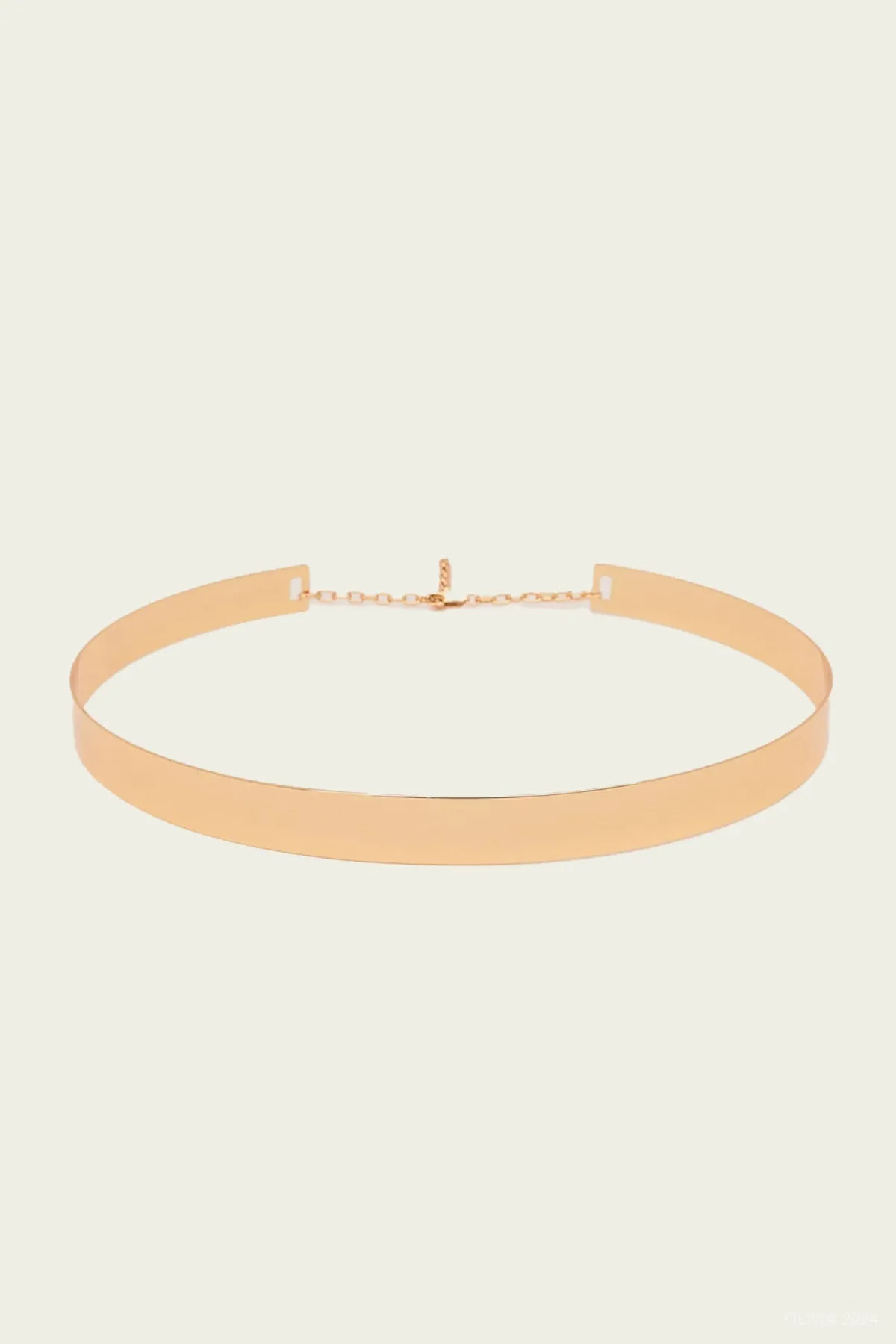 Macchi Belt in Gold