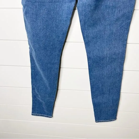 Madewell 10” High Rise Button Fly Stretch Skinny Jeans Dewitt Wash Size 27