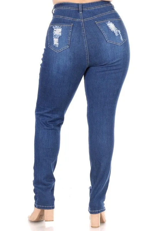 Plus High Waist Skinny Ripped Denim Jeans
