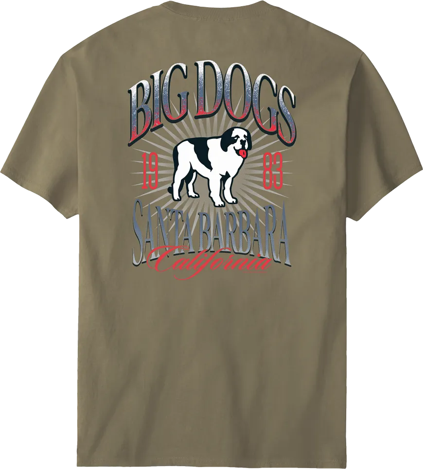 Santa Barbara Logo T-shirt