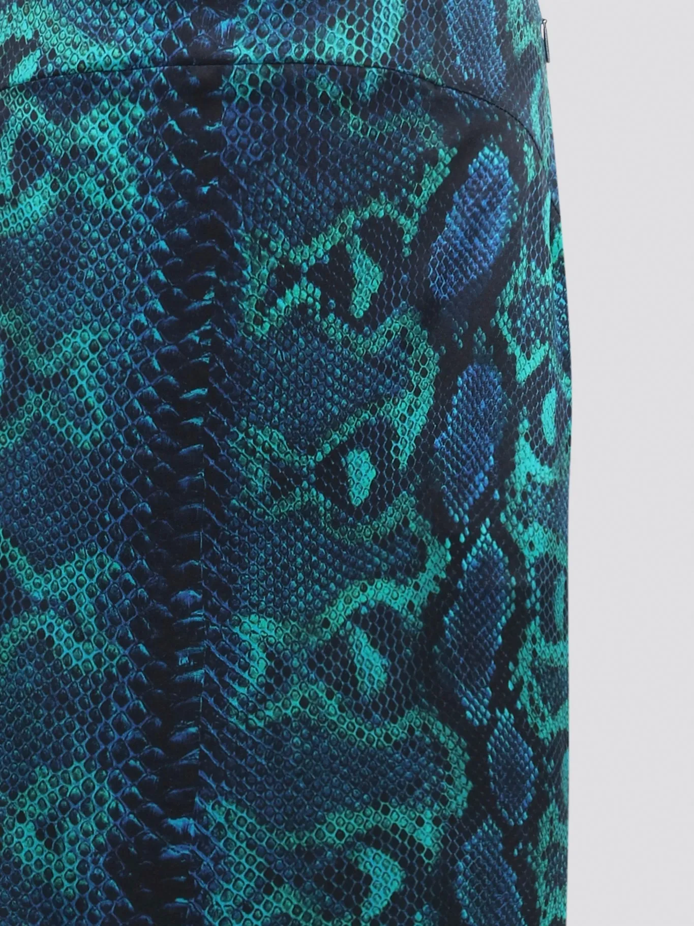 Snake Print Maxi Skirt