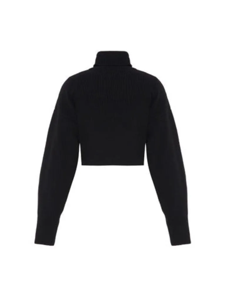 TS Theo Angelia Cropped Turtleneck Sweater
