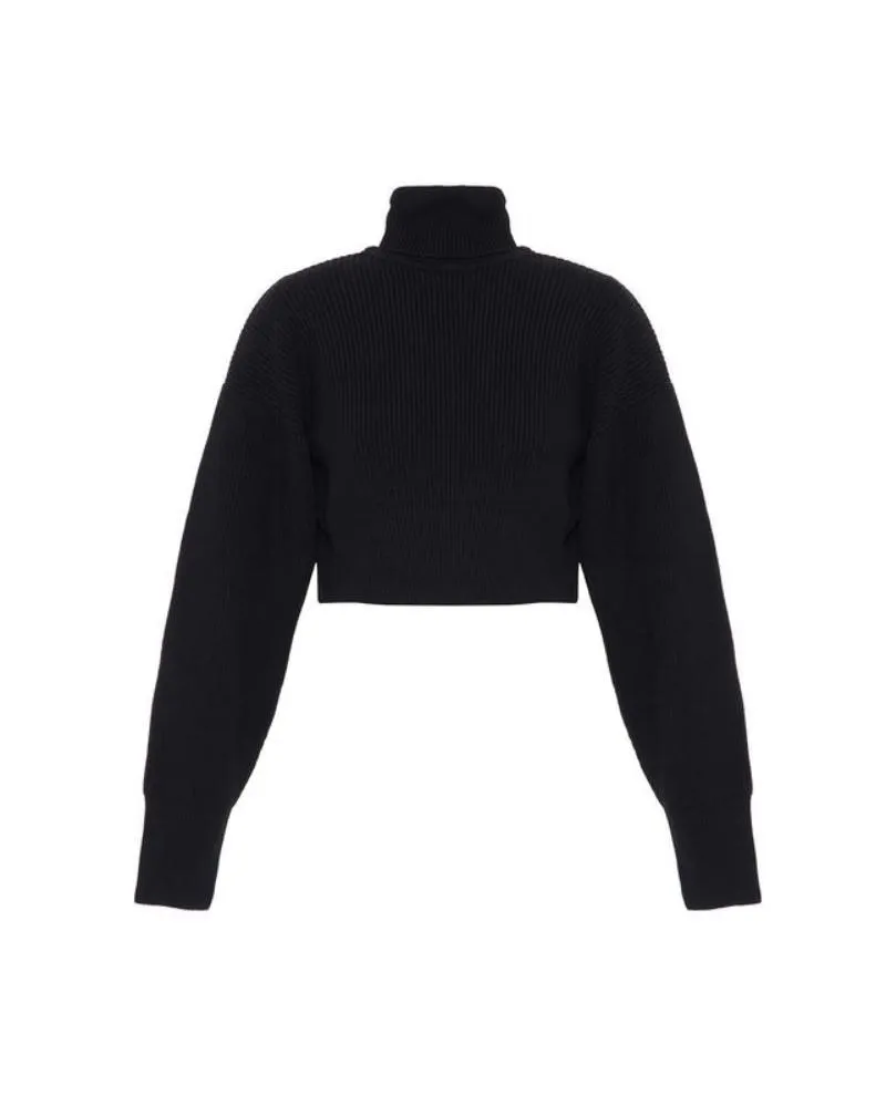 TS Theo Angelia Cropped Turtleneck Sweater