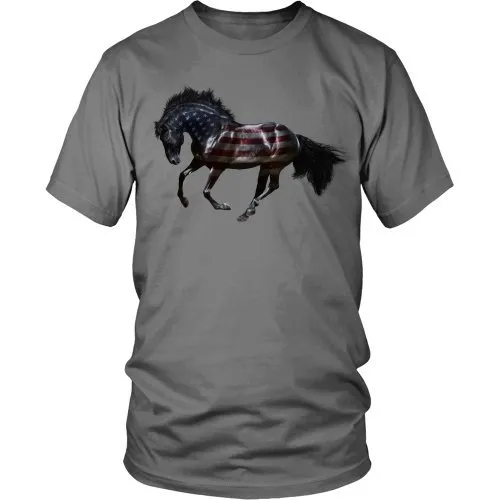 Wild American Horse